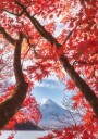 Mt.fuji is in the autumn leaves Plakat / 30x40cm
