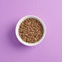 Smaak Cat Adult Grainfree Sterilised Kalkun & Svin 1.5 kg