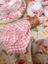 Serviett 50x50 cm med frynser Pink Small Checks