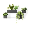 Umbra Cubiko vegghengte blomsterpotter sort