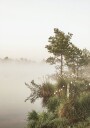 Foggy Summer Morning Plakat Plakat / 21x30cm