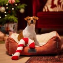 Bark-A-Boo Tufflove Holiday Polkagris 32 cm
