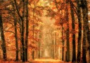 Exit the Portal Plakat Plakat / 50x70cm