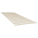 vidaXL Ribbebunner med 34 lameller 2 stk 100x200 cm 8721012152489