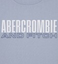 Abercrombie & Fitch T-skjorte - Blue Tåke - Abercrombie & Fitch - 7-8 år (122-128) - T-skjorte - Lyseblå