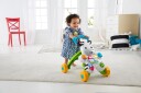 Fisher-Price Infant - Learn with Me Zebra Walker (DLD80)