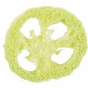 Trixie Snacks Disk