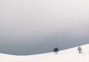 Two Alone Plakat Plakat / 100x150cm