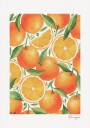 Framed Oranges Plakat Plakat / 40x50cm