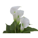 Europalms Mini Calla, White, 43cm