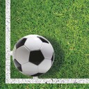 Globos Europe Servietter Fotballbane - 20-pakning