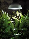 Nelson Garden 5575 LED-Vekstbelysning 18 w, E27