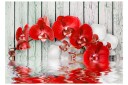 Fototapet Ruby Orchid 400x280 - Artgeist sp. z o. o.