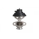 EGR Ventil VALEO 703257
