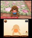 Dogs and Cats: Toy Poodle & New Friends  (3DS)