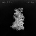 Chatham County Line Wilder Beauty Vinyl