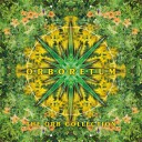 The Orb  Orboretum: The Orb Collection  LP/Vinyl