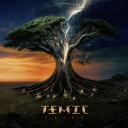 Temic  Ceiba  CD