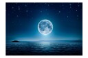 Fototapet Moonlit Night 250x175 - Artgeist sp. z o. o.