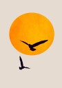 Birds In the Sky Plakat Plakat / 21x30cm