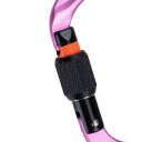 Mammut Classic HMS Screwgate karabiner, pink