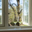 Riedel Vinum Riesling Zinfandel vinglass 40,4 cl 270 årsjubileum 4 pakning