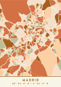 Black Maps Earth Tones 44 Plakat Plakat / 21x30cm