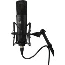 Warm Audio WA-87 R2B