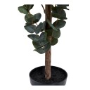 House Nordic Eukalyptus tre 9501015