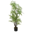 Mr Plant Adiantum Tre 100 cm
