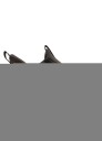 Puma Fun Racer 2 Slip On PS Sneakers Black/Cool Dark Gray 31