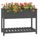 vidaXL Plantekasse med hylle svart 111,5x54x81 cm heltre furu