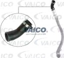 VAICO V25 1037 Ladeluftslange