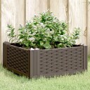 Plantekasse med plugger brun 42,5x42,5x28,5 cm PP