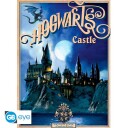 Harry Potter Plakat 52 x 38 cm Hogwarts & Diagon 2-pk