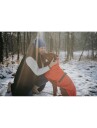 Hunter Hundedekken Nordby 30 Oransje