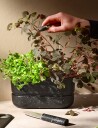 Rig-Tig POT-IT urtepotte 22,2 cm Black