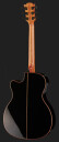 LAG Tramontane 118 ACE-BLK