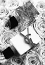 Yves Saint Laurent Perfume Black & White Plakat Plakat / 40x50cm