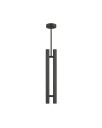 Ebell 2 Light Pendant Dark Bronze