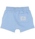 The New Tnsttitan Sweat Shorts   Blue   92