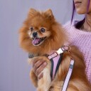 Rogz Urban Fast-Fit Hundesele Rosa Ergonomisk for Små Hunder