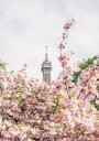 Paris Plakat Plakat / 30x40cm