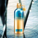 Montale Herbal Aquatica Eau De Parfum 100 ml