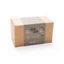 Dantoy Green Garden Tea Set 4782