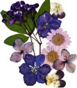 GLITTERNISTI Face Flowers Purple and Greens