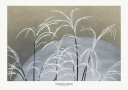 Frost From Momoyogusa Plakat Plakat / 40x50cm