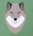 DYR T skjorte   Growl   Sage   DYR   4 år (104)   T skjorte   Grønn