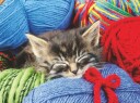 Puslespill 100 Ullkatt Ad Ravensburger