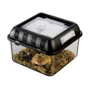 Plast terrarie breeding box - 30.2X19.6X14.7cm